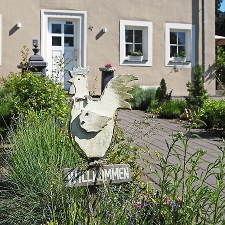 Ferienhaus Eifel 1851 Gipperath ภายนอก รูปภาพ